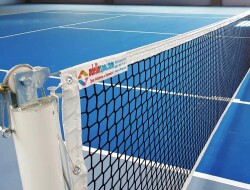 Adelinspor Gold Alüminyum Tenis Direği ve Premium Tenis File Seti - adelinspor